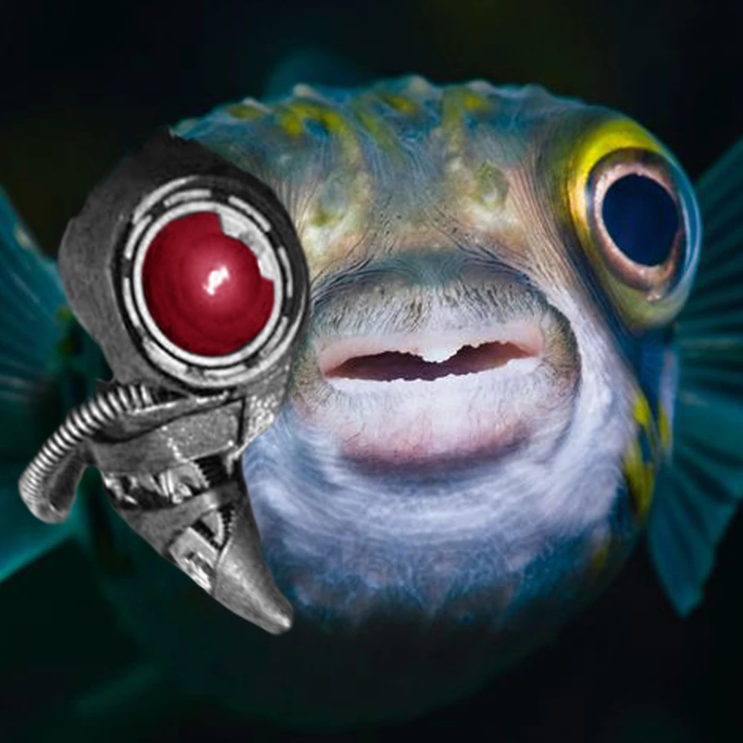 Billede af en CyberFisk